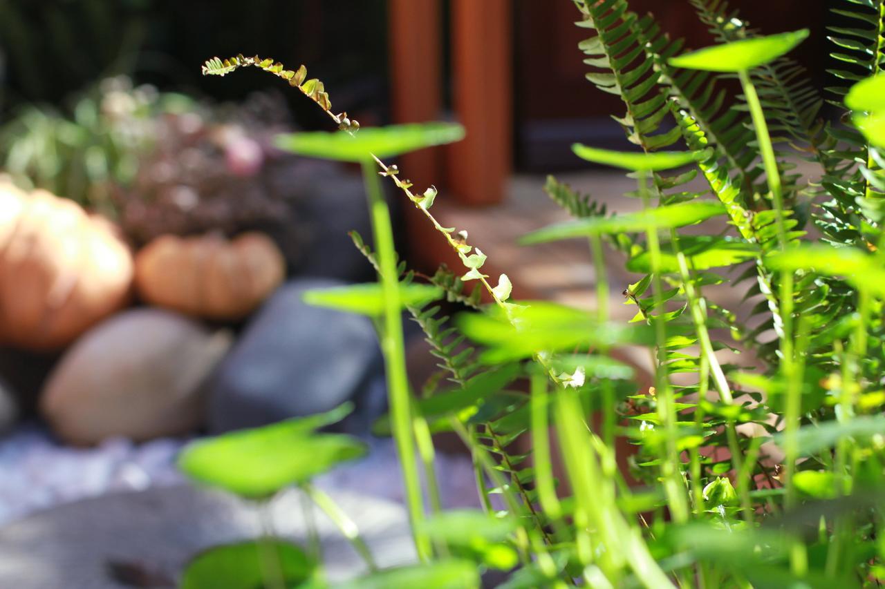 Lijiang Sunshine Nali Inn Exterior photo